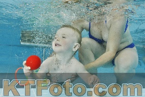 Foto 4321959