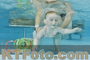 Foto 4321962