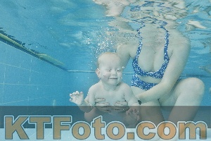 Foto 4322095