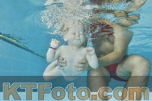 Foto 4322100