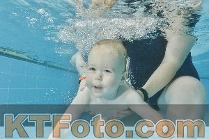 Foto 4322110