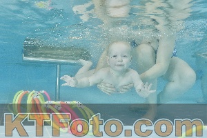 Foto 4322209