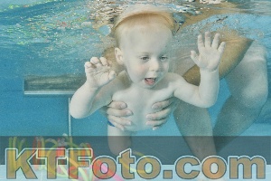 Foto 4322408