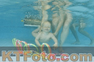 Foto 4322411