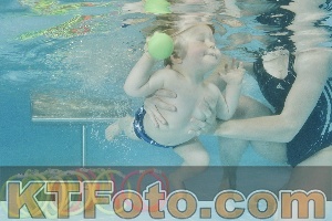 Foto 4322617