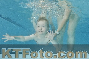 Foto 4322939