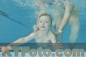 Foto 4322940