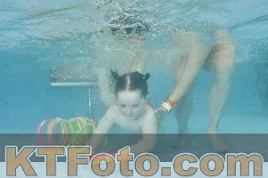 Foto 4323003