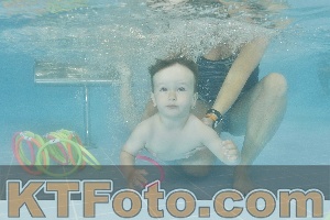 Foto 4323006