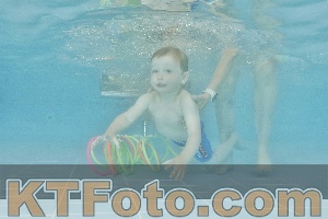 Foto 4323012