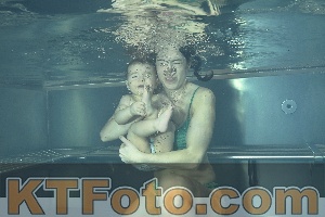 Photo 4315495