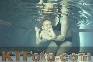 Foto 4315594