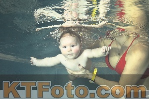 Foto 4315599