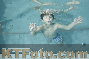 Foto 4315710