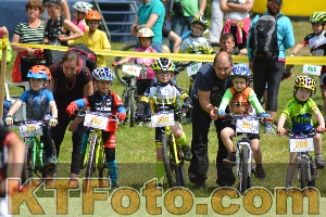 Foto 3260235