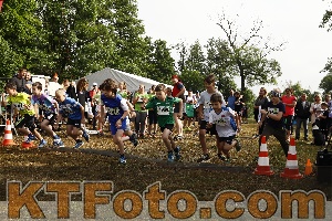 Photo 3939218