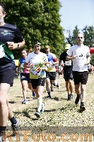 Photo 4159940