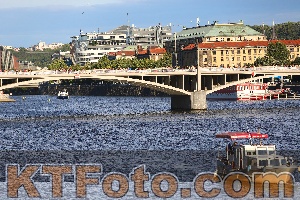 Foto 2485036