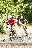Foto 2454913