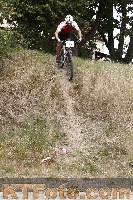 Foto 2968321