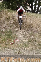 Foto 2968322