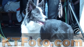 Foto 2845048