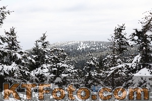 Photo 3494238