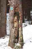 Foto 1074337