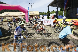 Photo 3801794