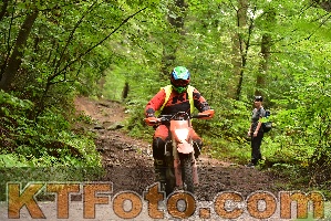 Photo 3919706