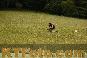 Foto 4431019