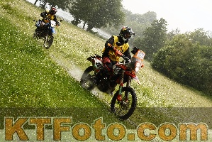 Foto 4431770