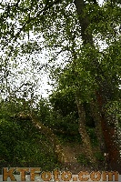 Foto 2854184