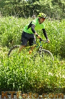 Photo 2879031