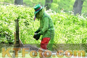 Photo 2860254