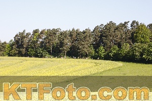 Foto 3262915