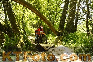 Photo 3265227