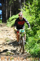 Foto 3303395