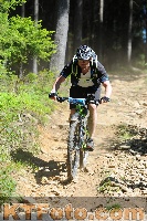 Foto 3303420