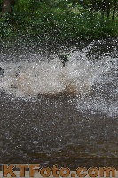Photo 3956923