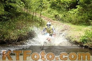 Foto 4037382