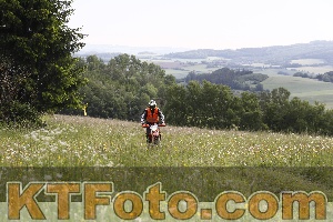 Photo 4237941