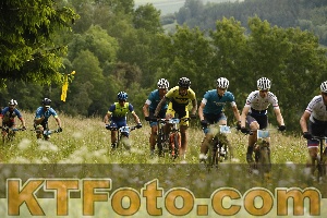 Photo 4237973