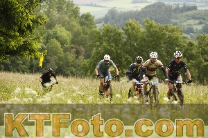 Photo 4238033