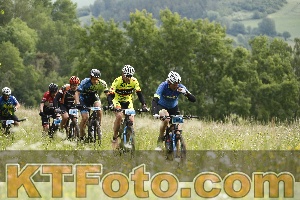 Photo 4238229