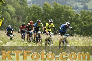 Photo 4238230