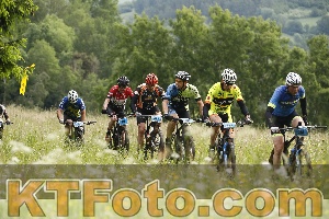 Photo 4238231