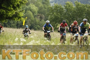 Photo 4238233