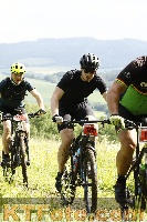 Photo 4238842