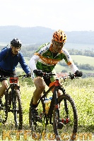 Photo 4238852